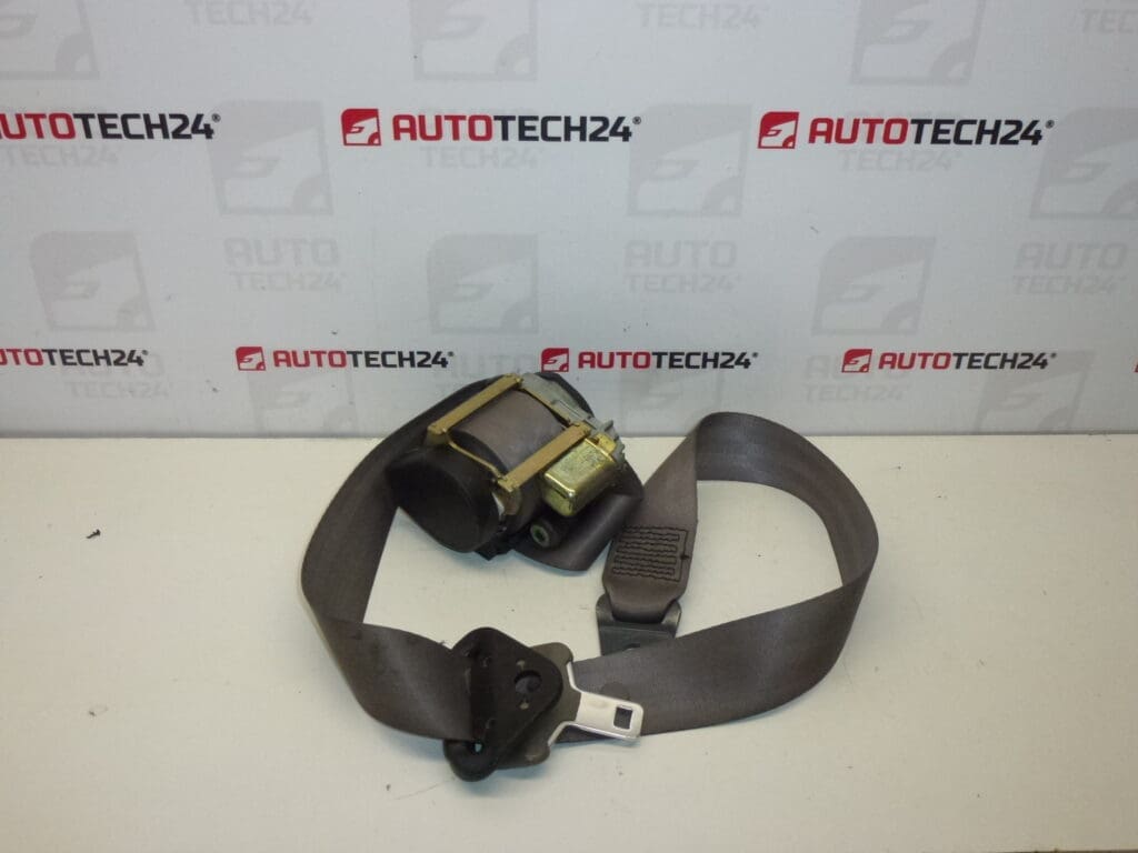 Citroën Xsara Picasso Courroie Avant Droite 96314386XX 8973C9