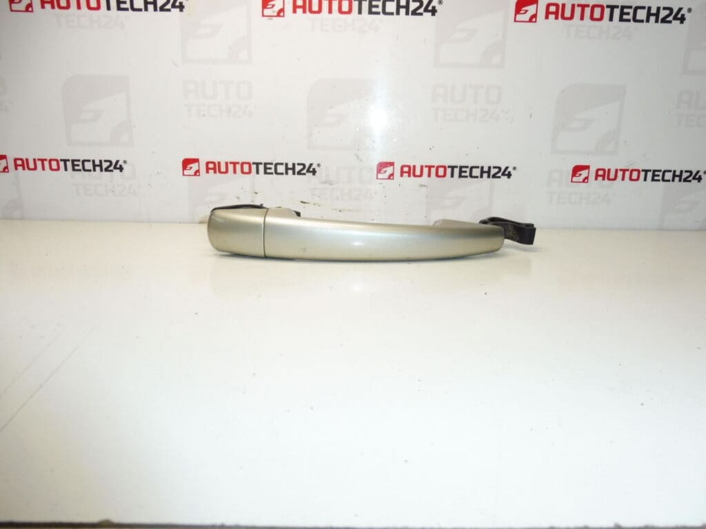 Poignée de porte Citroën Peugeot ETSC 9101GH