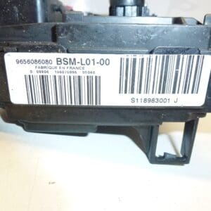 BSM L01-00 Siemens Citroën Peugeot 9656086080