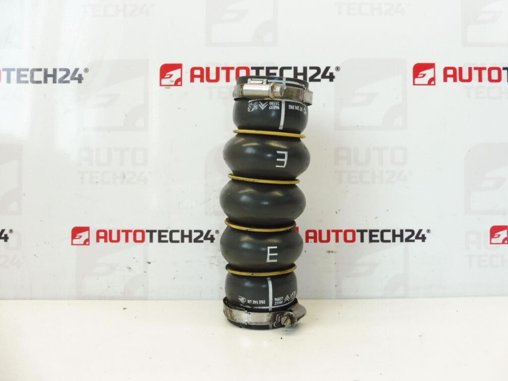 Tuyau 1.6 HDI 1.2 81kw Citroën Peugeot 9683725580 0382NN