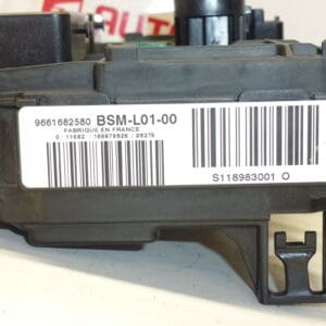 BSM L01-00 Siemens Citroën Peugeot 9661682580