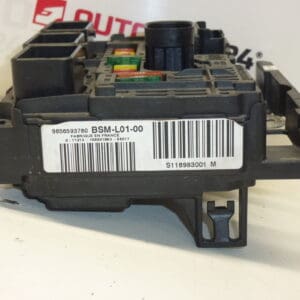 BSM L01-00 Siemens Citroën Peugeot 9656593780