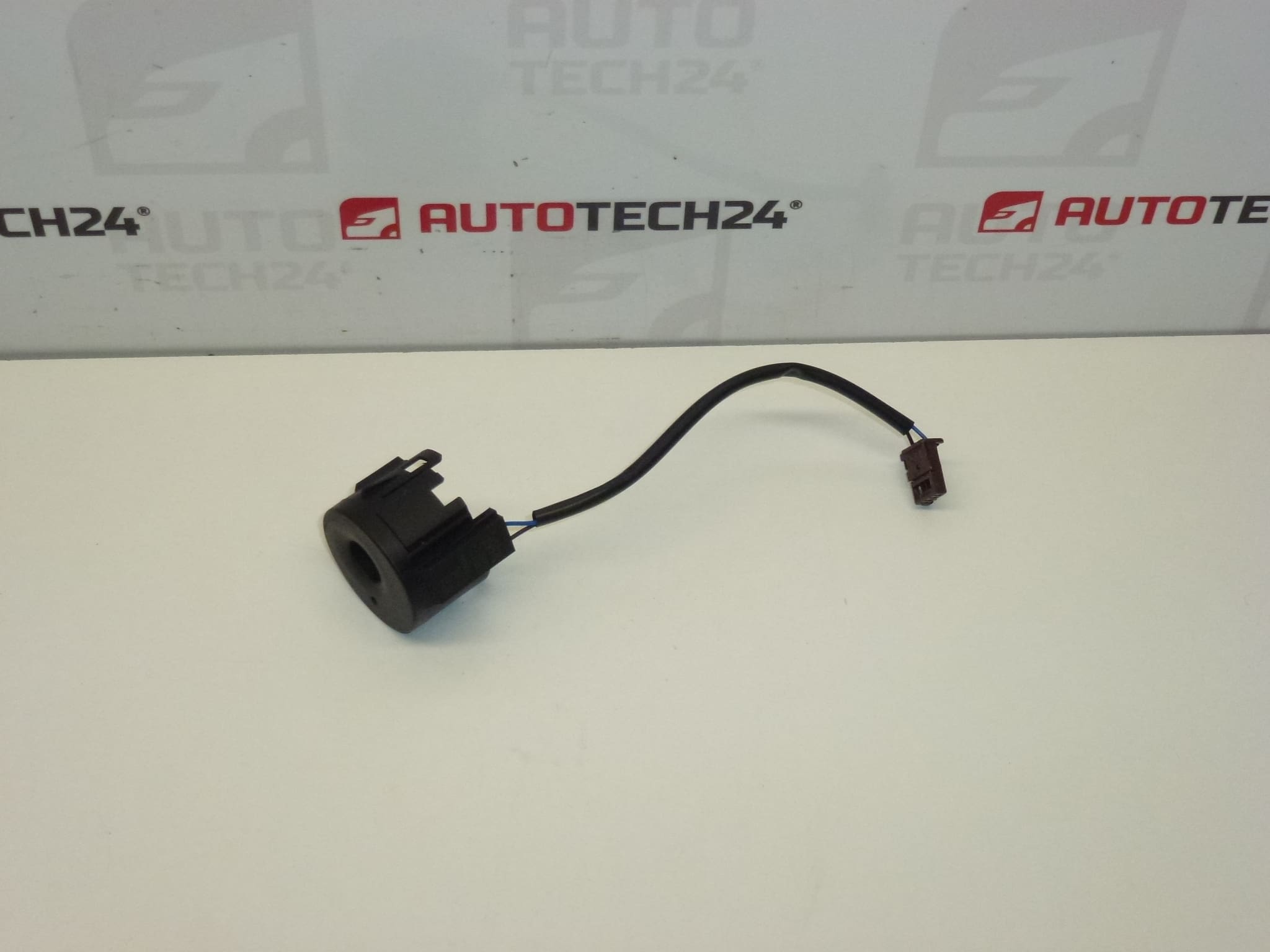 Antenne transpondeur immo 9663123380 6160C1