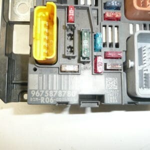 BSM R06 DELPHI Citroën Peugeot 9675878780 6500FT