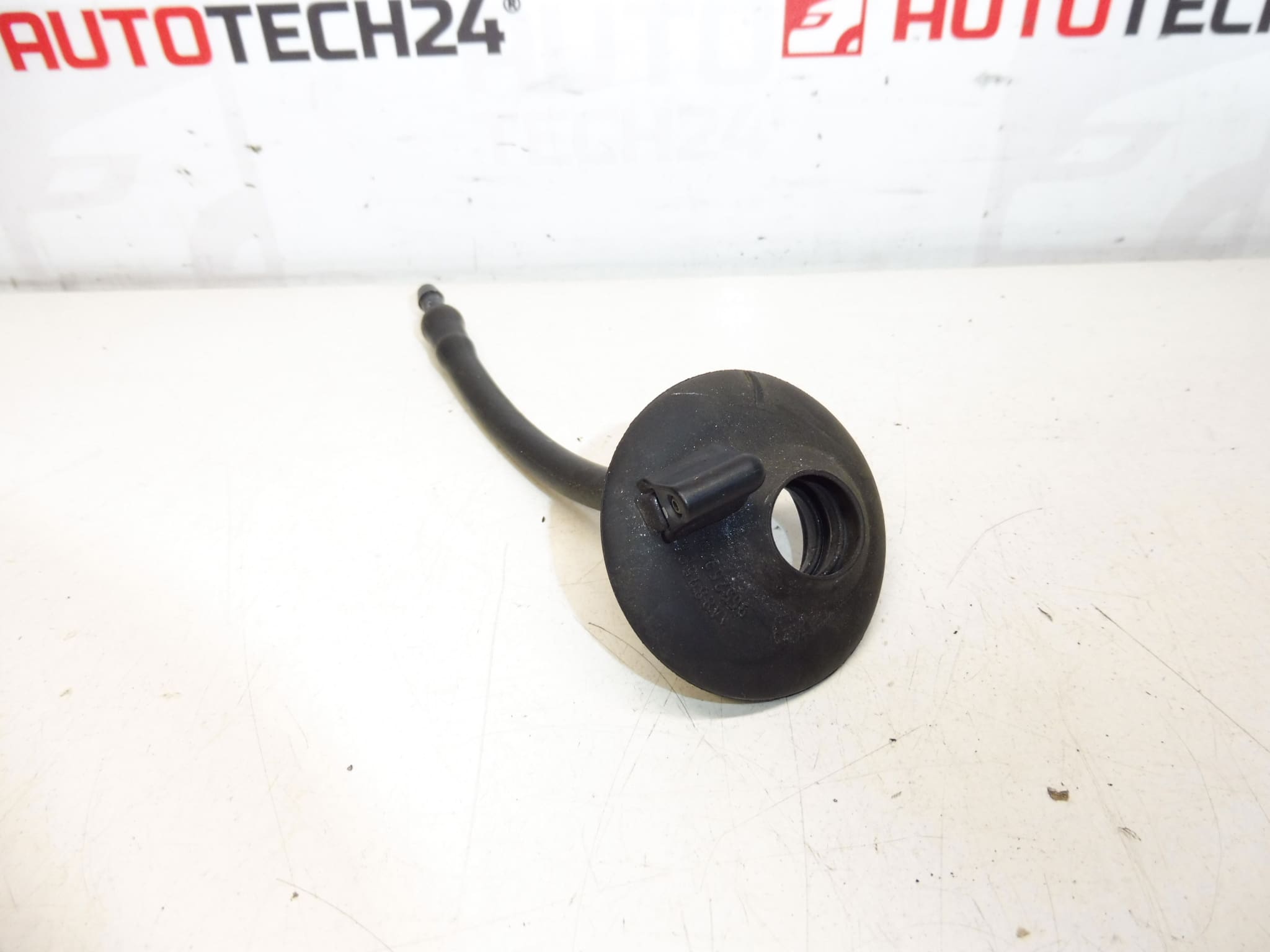 Bulleuse en verre arrière Citroën Peugeot 6438p9