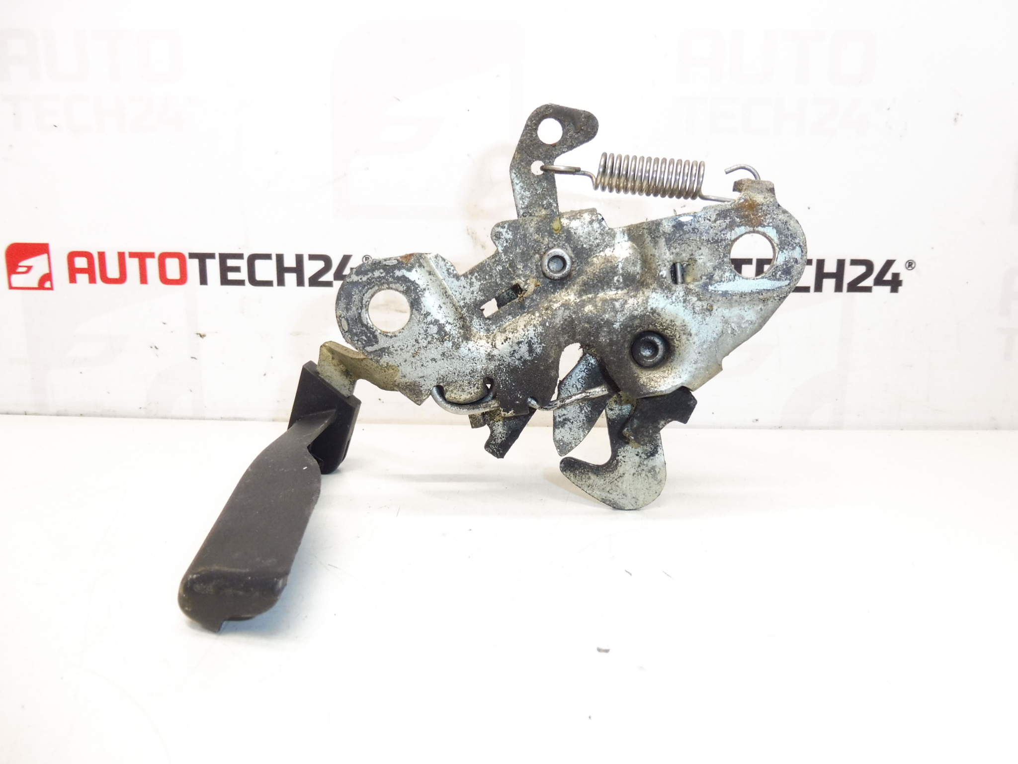 Serrure de capot Peugeot 206+ 7934F4