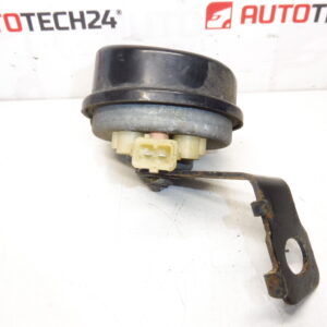 Corne de corne avec Citroen C4 6236G3