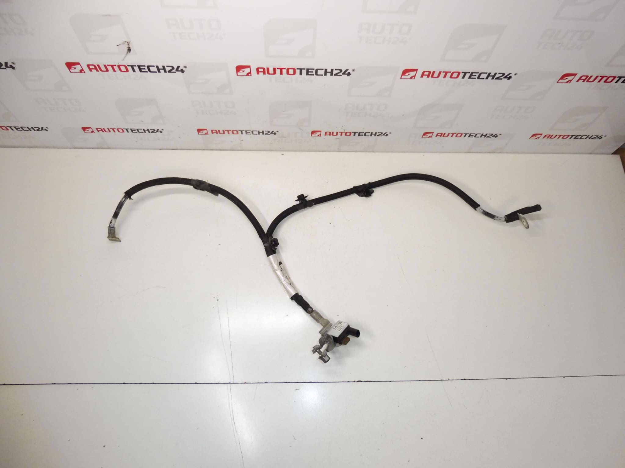 Citroën Peugeot 9816283880 Câble de perche négatif