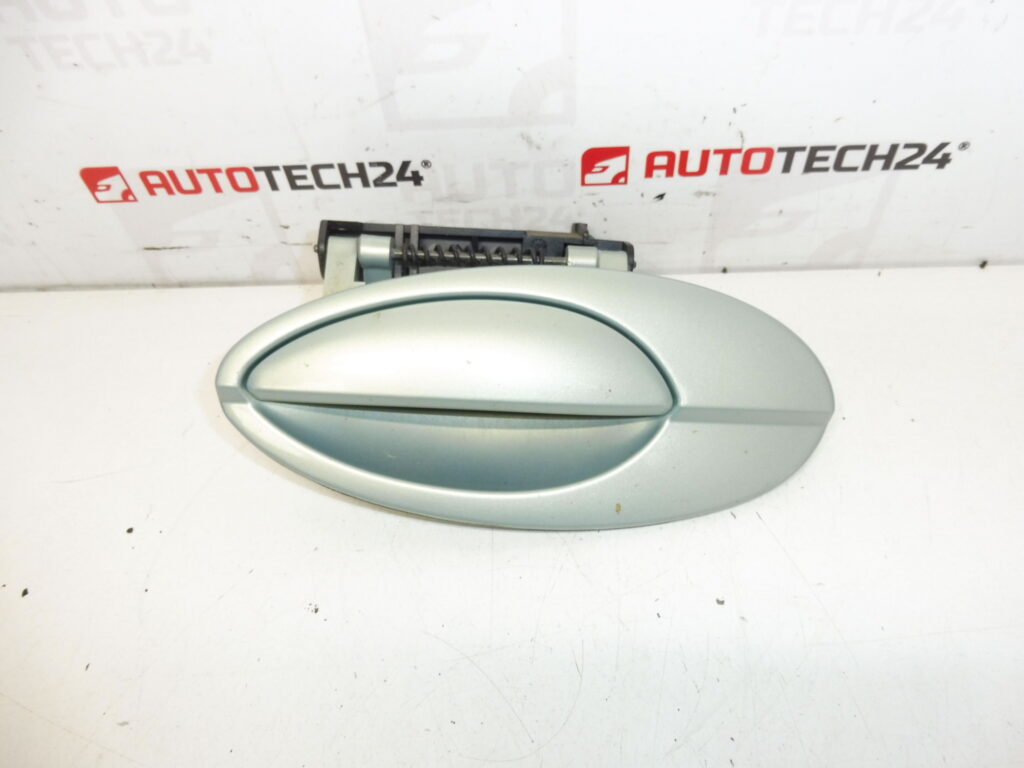 Poignée de Porte Arrière Gauche Citroën C5 I et II 9631831077 9644270277 9101S7 LQHC
