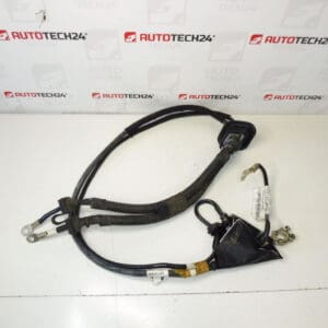 Câble de connexion + poteau à Citroën Peugeot 1497069080 1497070080 Moteur