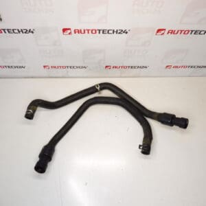 Citroën Peugeot 2.2 HDI 1343FL 1343FS