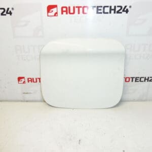 Peugeot 301 Citroen C -lysée EWP 9677571480