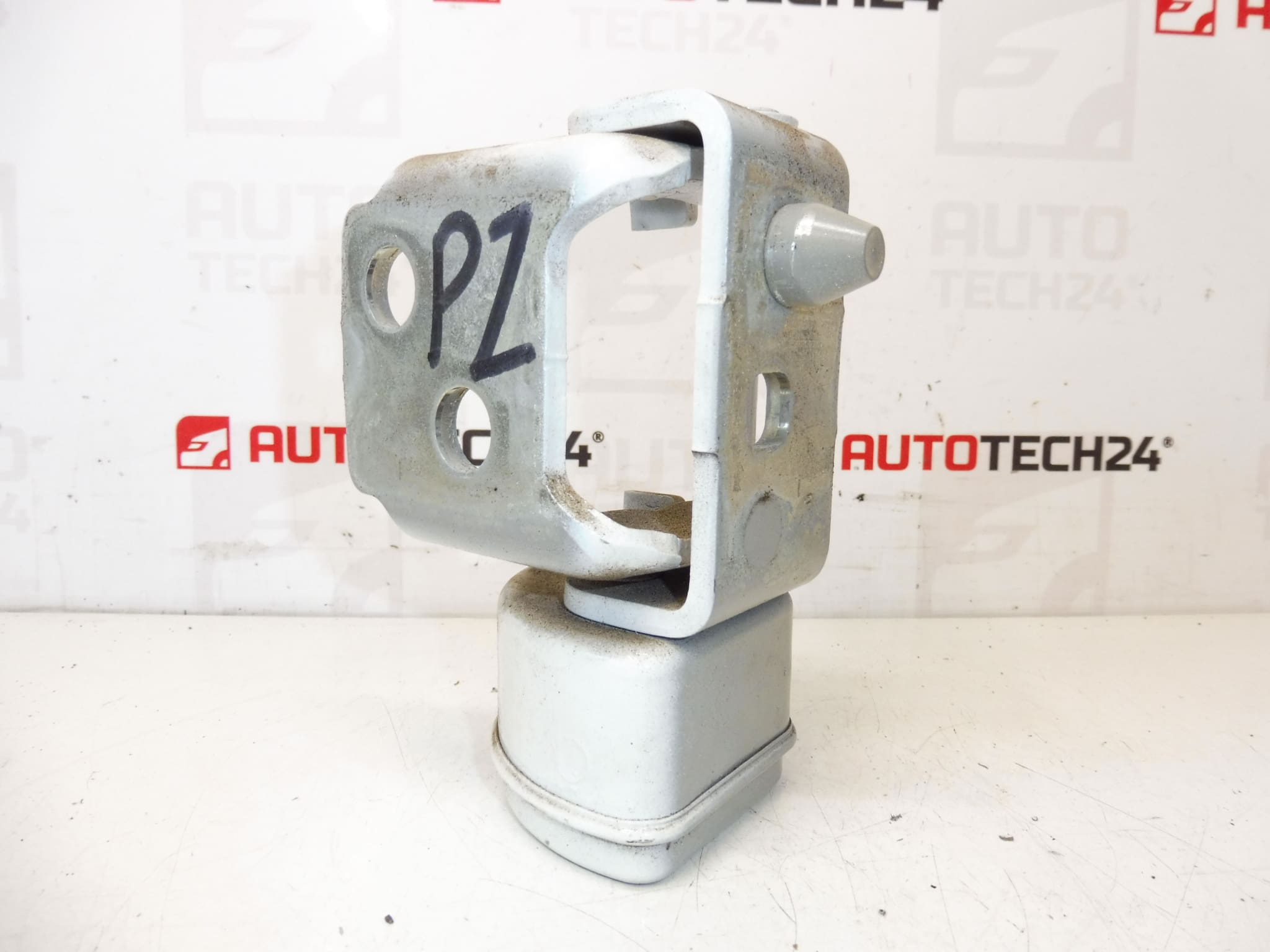 Butée de charnière de porte arrière droite pour PEUGEOT 207 EWP 13089480 9037C0 – Image 2