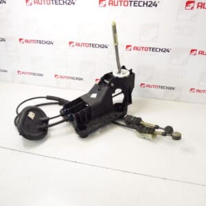 Peugeot 207 9685232980 2400JZ Lever Shift