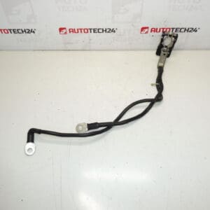 Un paquet positif pour la batterie Citroën Peugeot 1612229980
