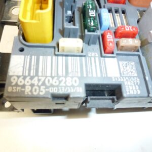 BSM R05 DELPHI Citroën Peugeot 9664706280 6500HH