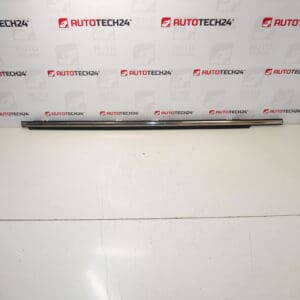 Citroen C-crosser Peugeot 4007 9309p2