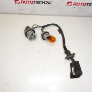 Lampe arrière du poulain