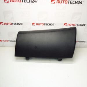 Skiproom Citroën C-Crosser Peugeot 4007 8042A061 825231