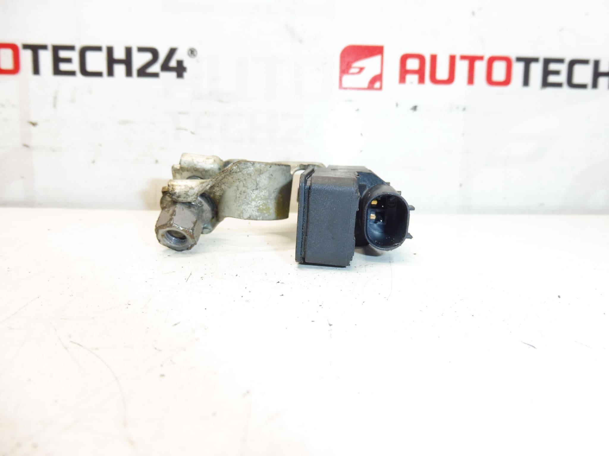 Bosch Citroën Peugeot 9838135480 chargeur de batterie – Image 2
