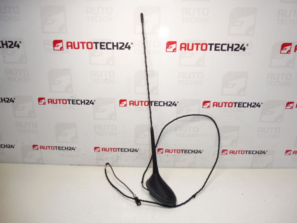 Antenne Peugeot 207 9651423580 6561GW 6561W5
