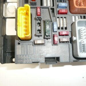 BSM R03 DELPHI Citroën Peugeot 9666700280