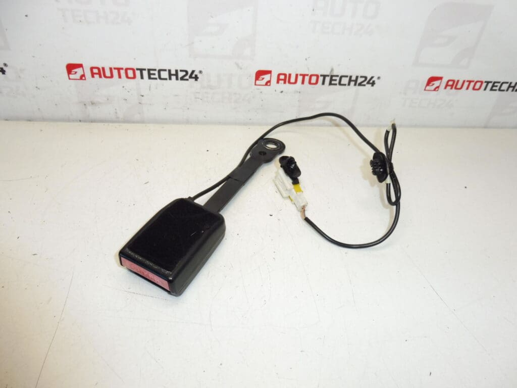 Titulaire du permis de conduire Peugeot 307 CC 8974Q8