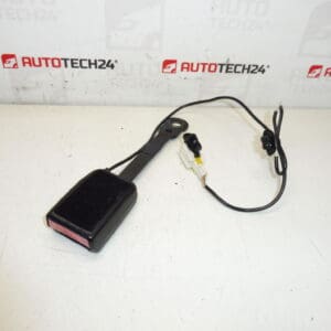 Titulaire du permis de conduire Peugeot 307 CC 8974Q8