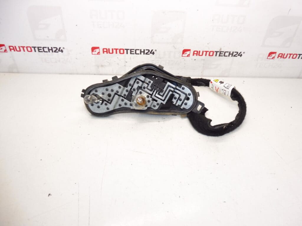Douille d'ampoule Peugeot 3008 9805510480