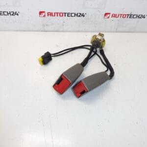 Verrouillage de ceinture de sécurité Citroën C5 II 8974W8