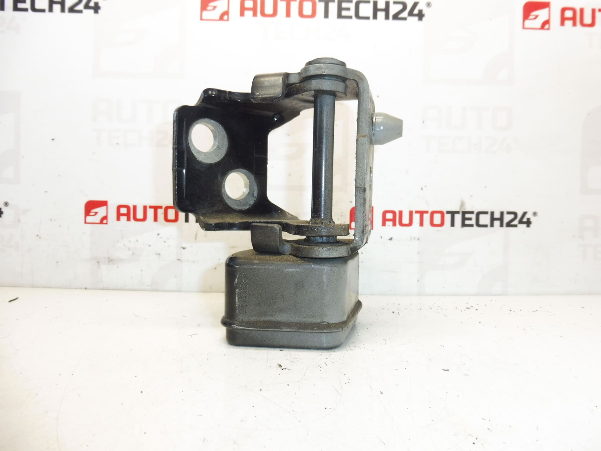 Butée, charnière de porte arrière gauche EXLD Peugeot 207 9037C1 – Image 2