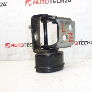 Butée charnière de porte arrière gauche EXLD Peugeot 207 9037C1