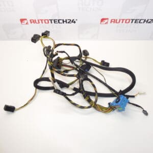 Faisceau de climatisation Citroen C4 B7 T1008911F 6436N7