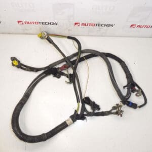 Faisceau positif Citroën Peugeot 2.0HDI 9658054180 5642LP