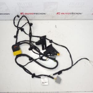 Harnais de siège conducteur Citroen C4 Picasso Valeo 6505T6 5243566